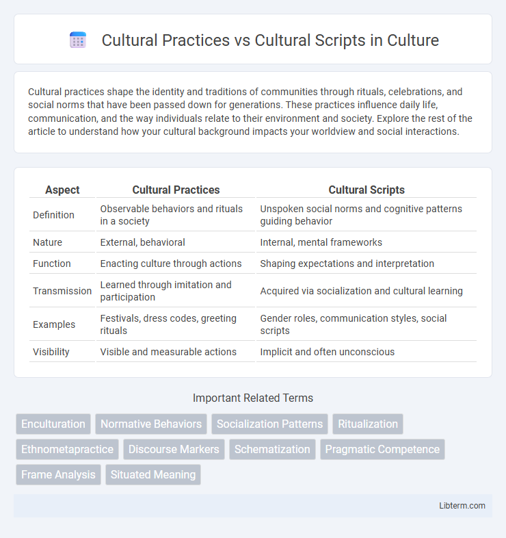 Cultural Scripts vs Cultural Practices in Culture - What is The Difference?