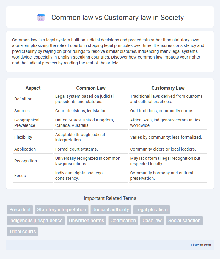 Customary law vs Common law in Society - What is The Difference?