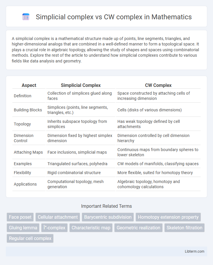 CW complex vs Simplicial complex in Mathematics - What is The Difference?