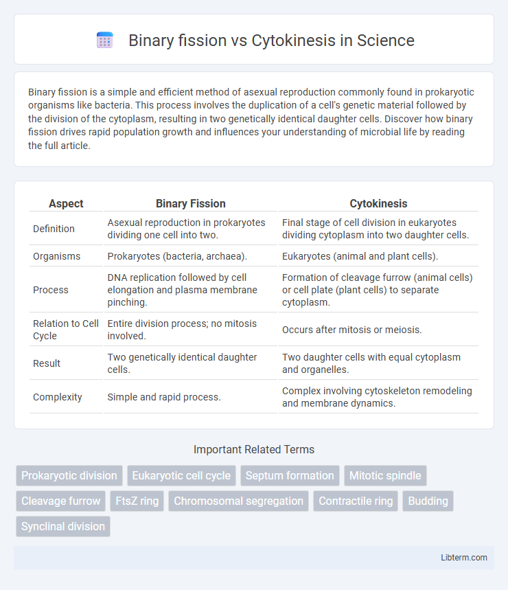 Cytokinesis vs Binary fission in Science - What is The Difference?