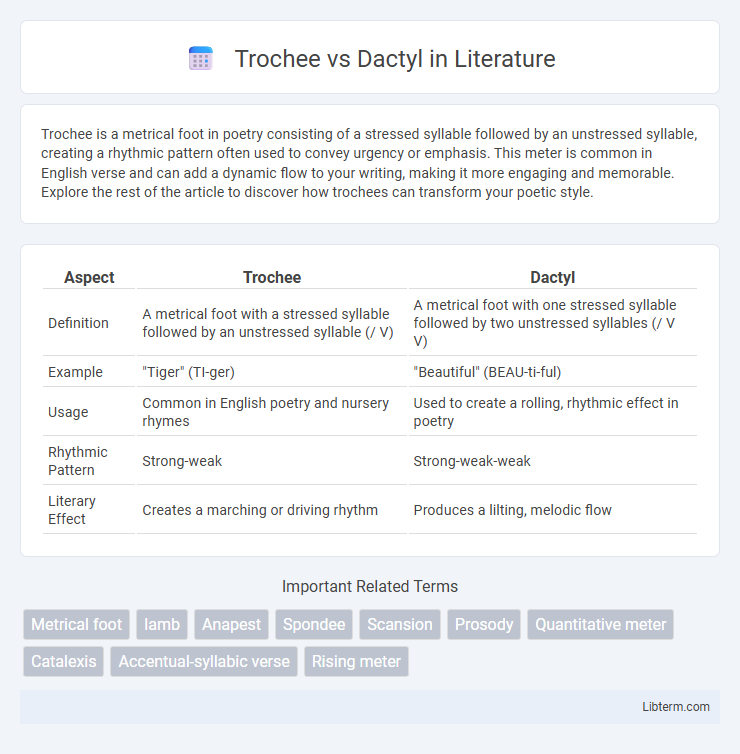 Dactyl vs Trochee in Literature - What is The Difference?