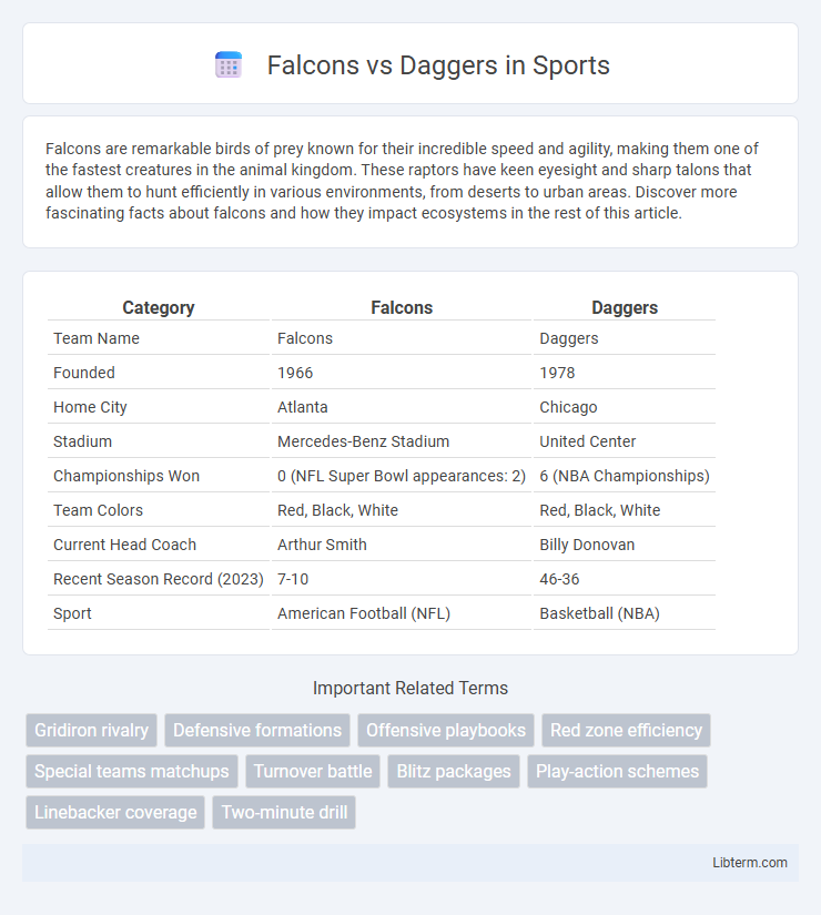 Daggers vs Falcons in Sports - What is The Difference?