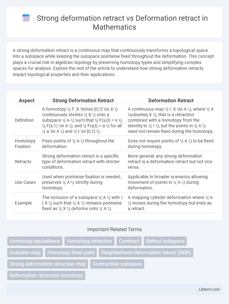 Deformation retract vs Strong deformation retract in Mathematics - What is The Difference?
