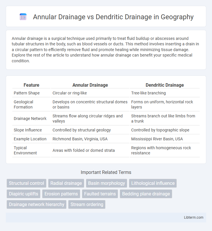 Dendritic Drainage vs Annular Drainage in Geography - What is The Difference?
