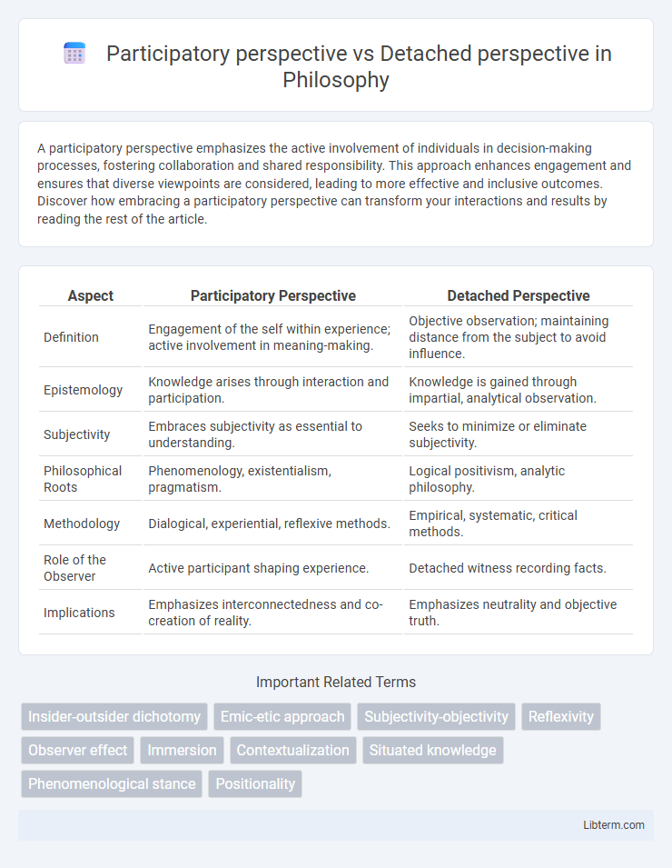 Detached perspective vs Participatory perspective in Philosophy - What is The Difference?