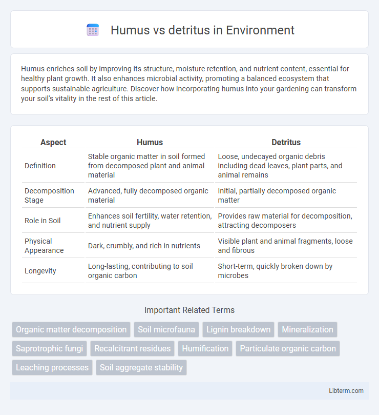 detritus vs Humus in Environment - What is The Difference?