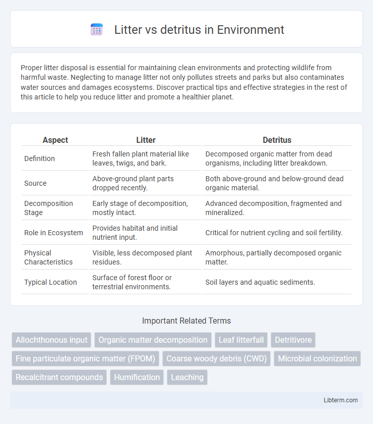 detritus vs Litter in Environment - What is The Difference?