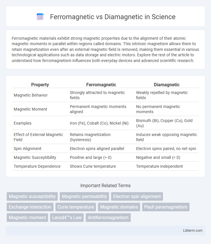 Diamagnetic vs Ferromagnetic in Science - What is The Difference?