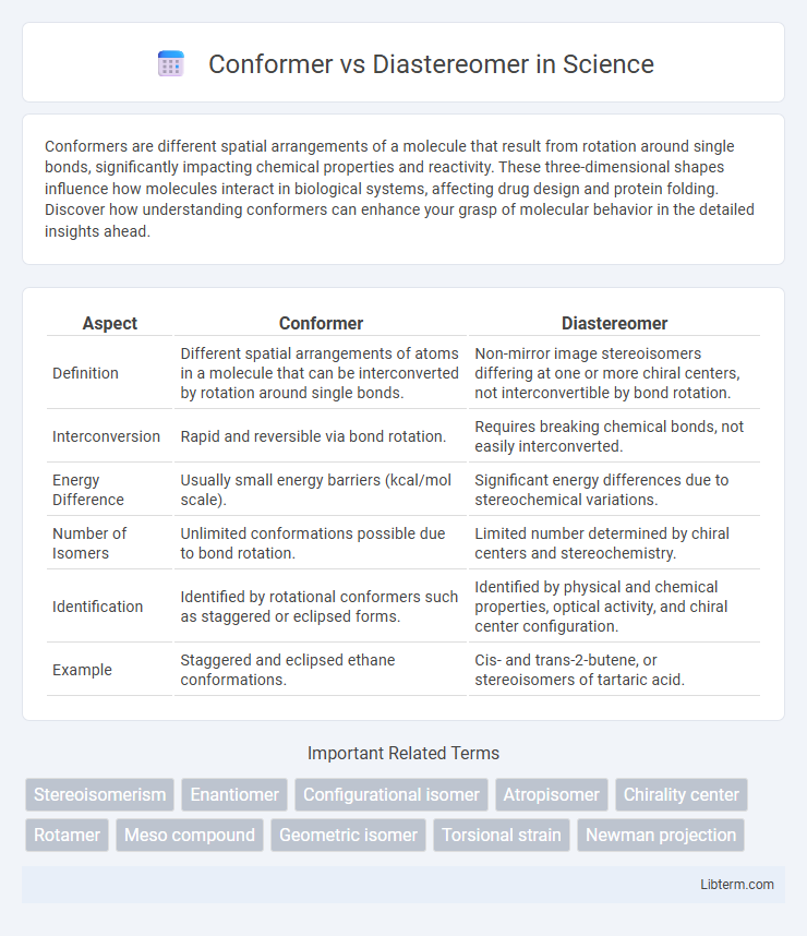 Diastereomer vs Conformer in Science - What is The Difference?