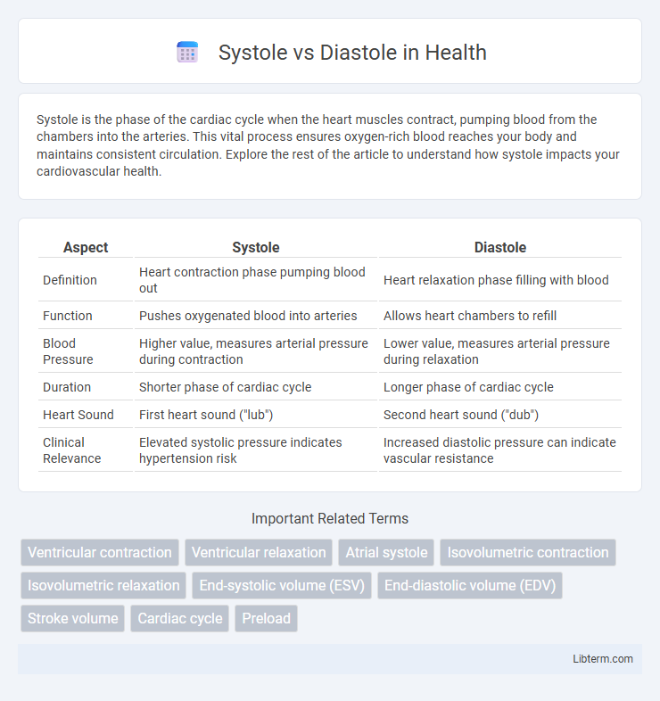 Diastole vs Systole in Health - What is The Difference?