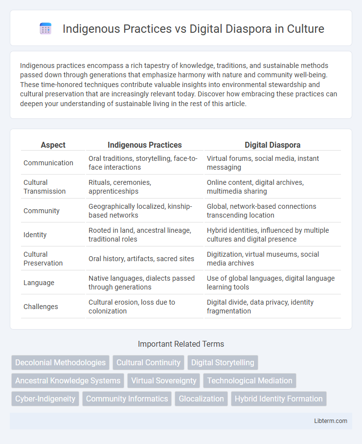 Digital Diaspora vs Indigenous Practices in Culture - What is The Difference?