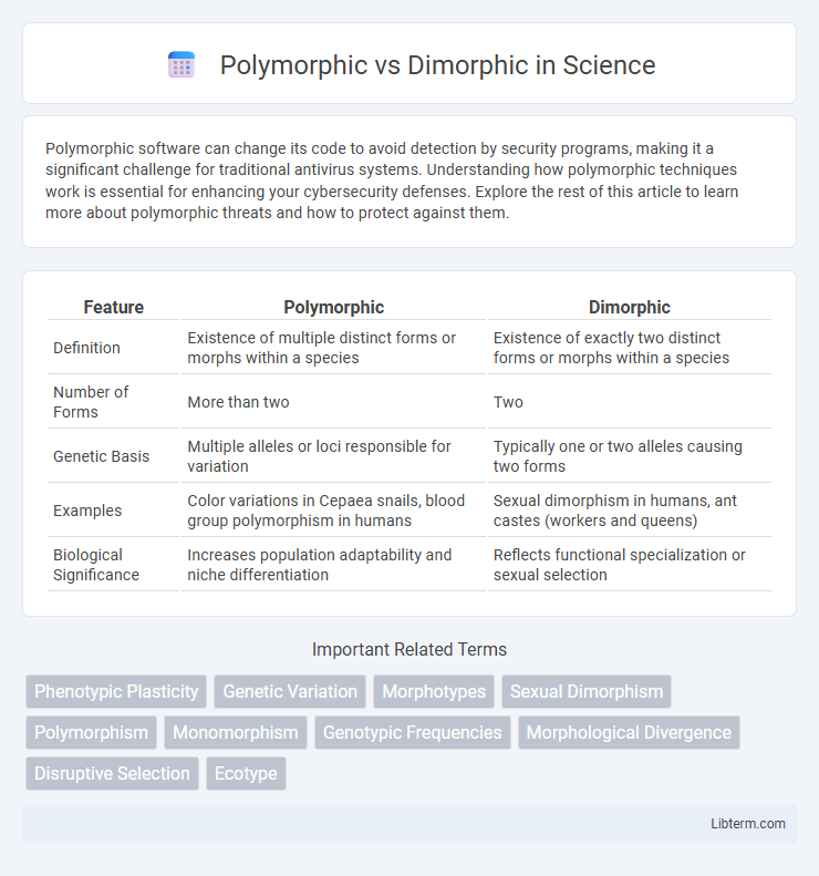 Dimorphic vs Polymorphic in Science - What is The Difference?