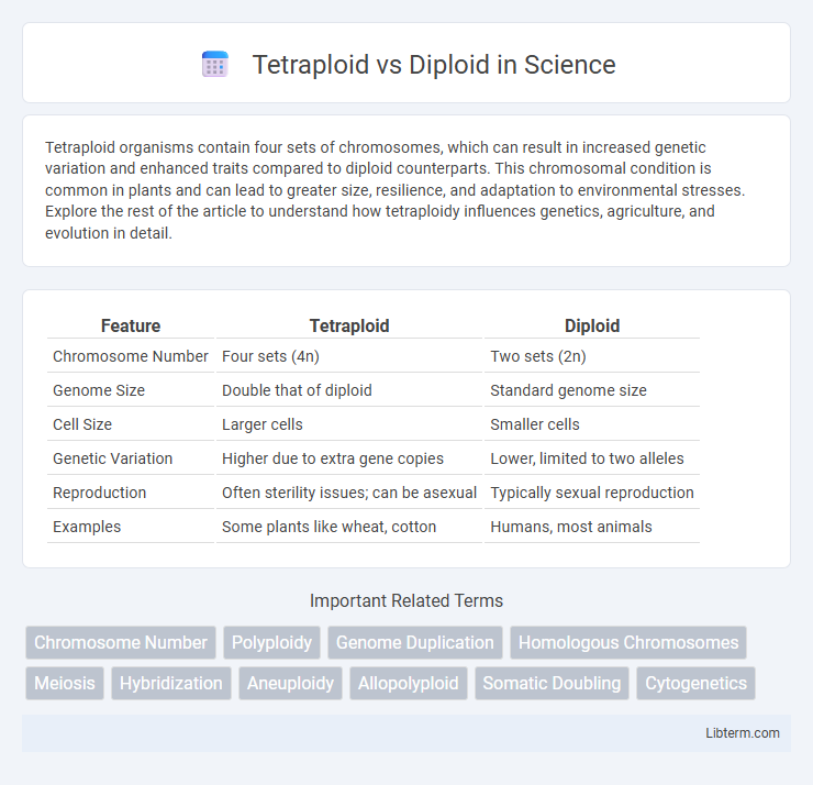 Diploid vs Tetraploid in Science - What is The Difference?