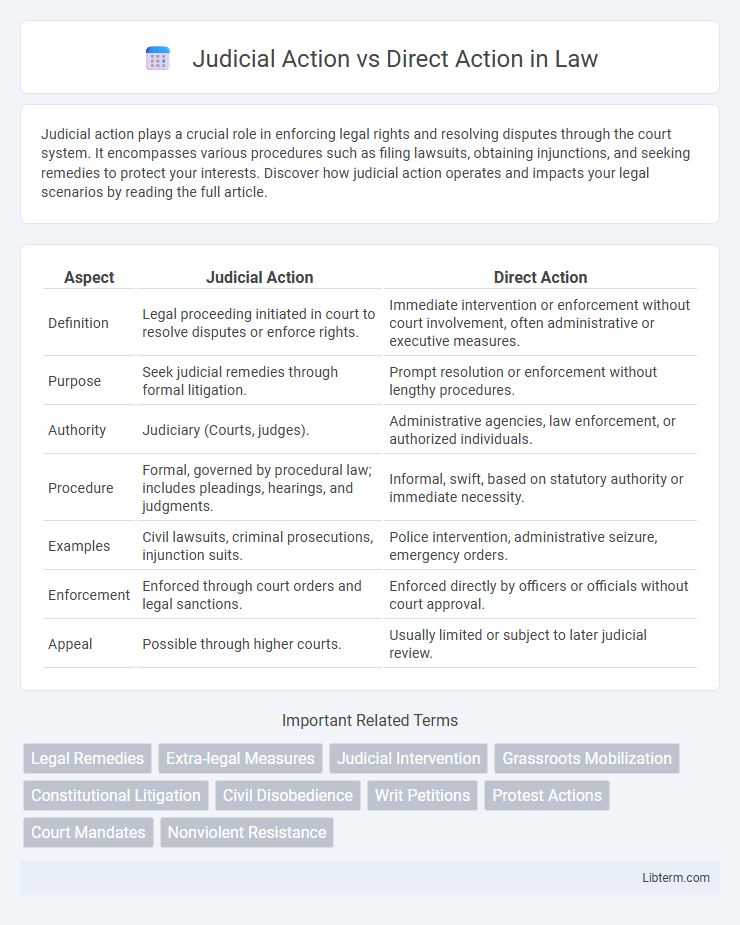 Direct Action vs Judicial Action in Law - What is The Difference?