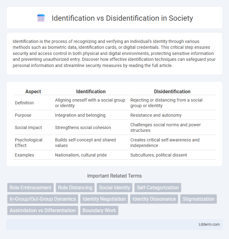 Disidentification vs Identification in Society - What is The Difference?