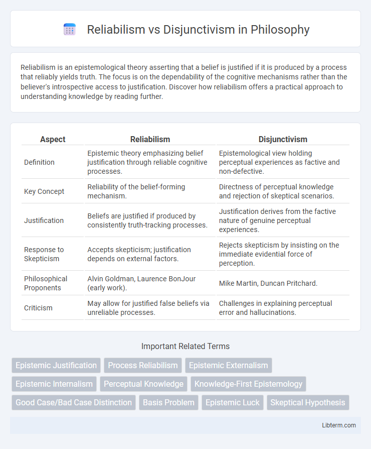 Disjunctivism vs Reliabilism in Philosophy - What is The Difference?