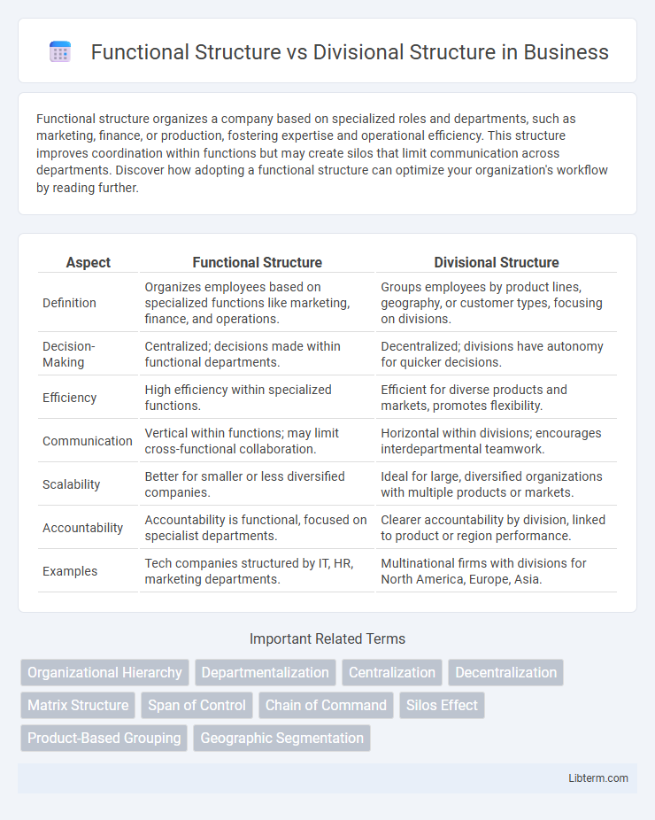Divisional Structure vs Functional Structure in Business - What is The Difference?