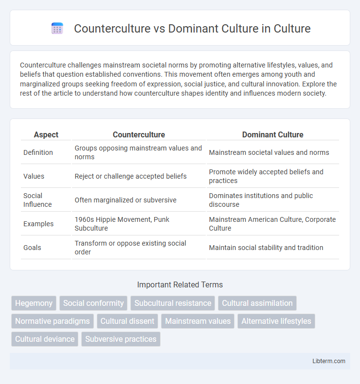Dominant Culture vs Counterculture in Culture - What is The Difference?
