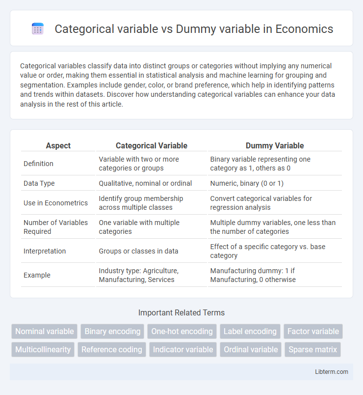 Dummy variable vs Categorical variable in Economics - What is The Difference?
