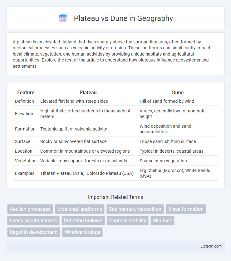 Dune vs Plateau in Geography - What is The Difference?