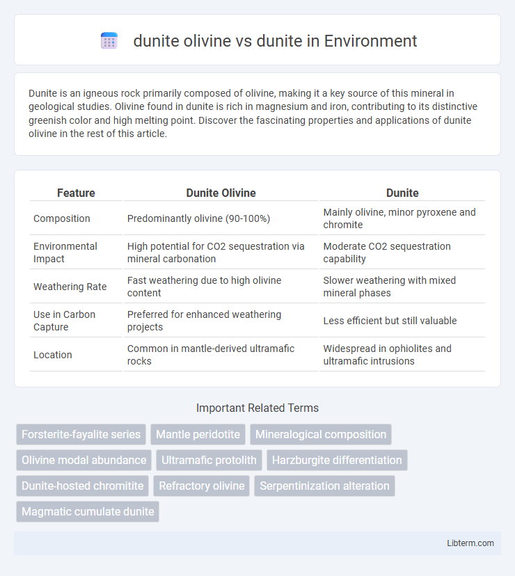 dunite vs dunite olivine in Environment - What is The Difference?