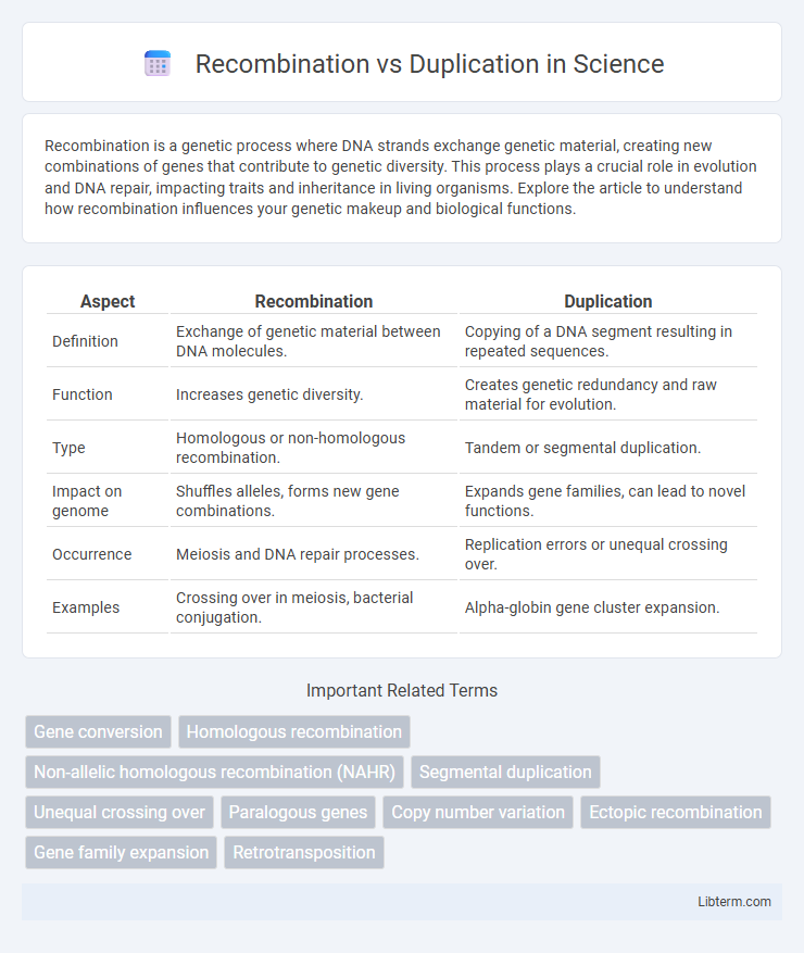 Duplication vs Recombination in Science - What is The Difference?