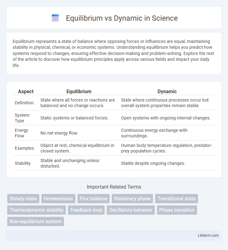 Dynamic vs Equilibrium in Science - What is The Difference?