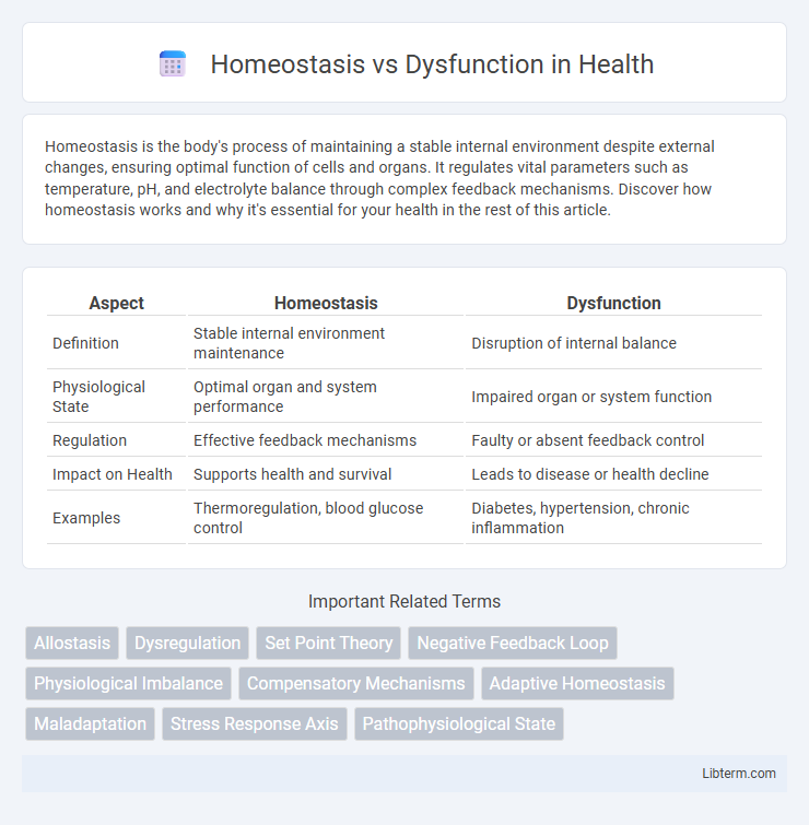 Dysfunction vs Homeostasis in Health - What is The Difference?
