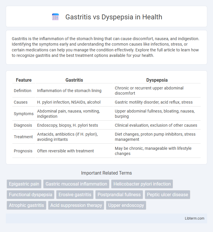 Dyspepsia vs Gastritis in Health - What is The Difference?