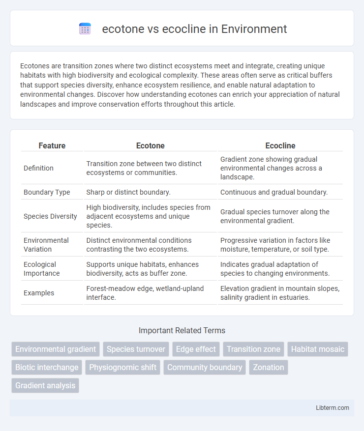 ecocline vs ecotone in Environment - What is The Difference?