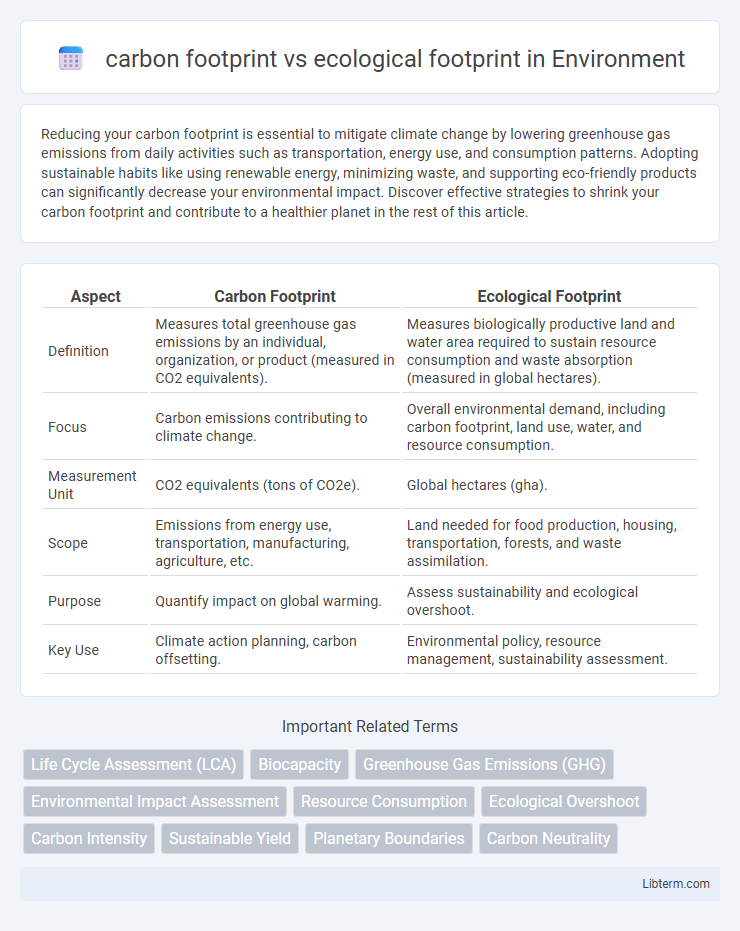 ecological footprint vs carbon footprint in Environment - What is The Difference?