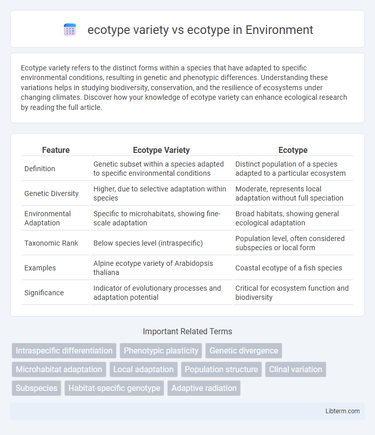 ecotype vs ecotype variety in Environment - What is The Difference?