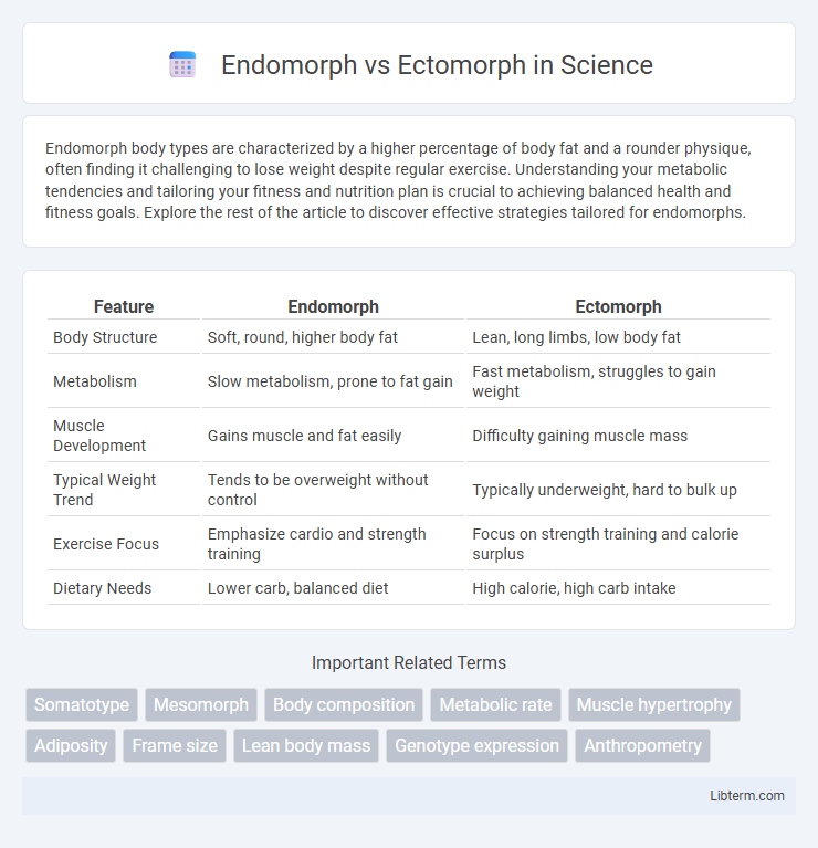 Ectomorph vs Endomorph in Science - What is The Difference?