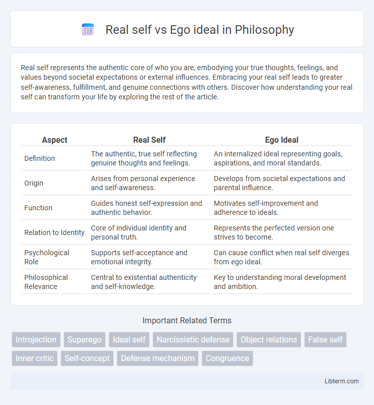 Ego ideal vs Real self in Philosophy - What is The Difference?
