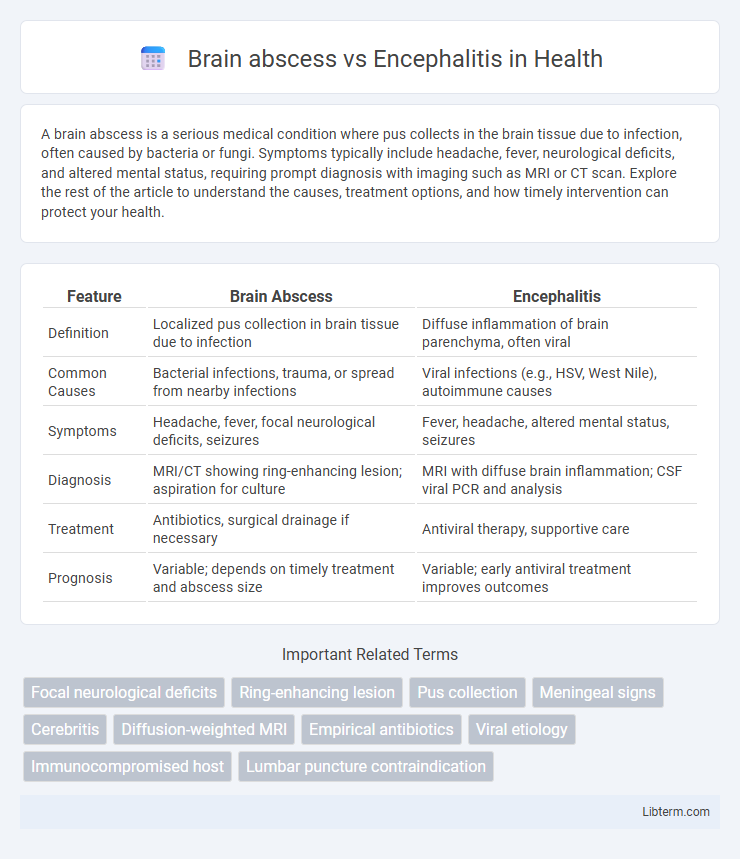 Encephalitis vs Brain abscess in Health - What is The Difference?