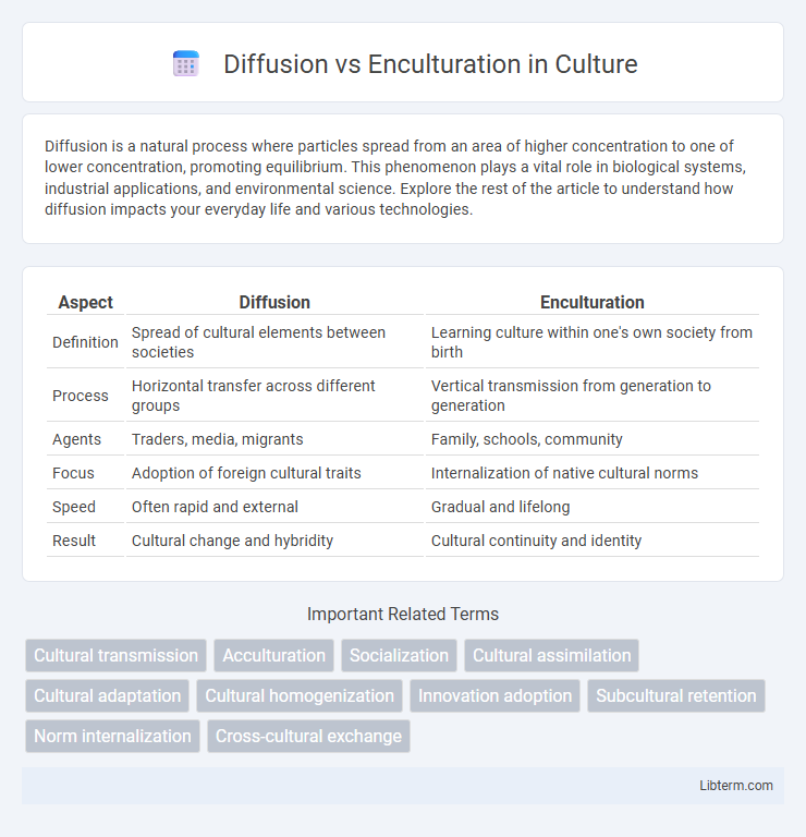 Enculturation vs Diffusion in Culture - What is The Difference?
