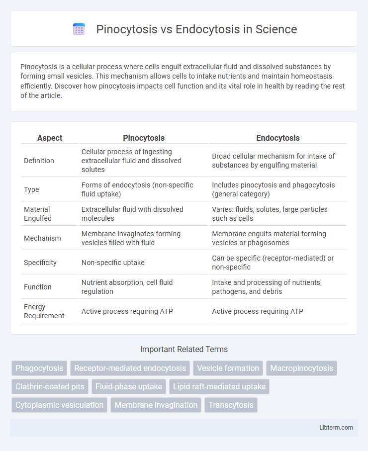 Endocytosis vs Pinocytosis in Science - What is The Difference?