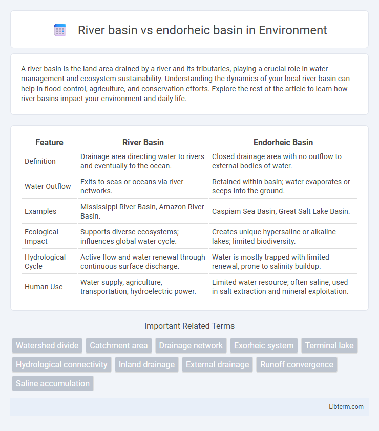 endorheic basin vs River basin in Environment - What is The Difference?