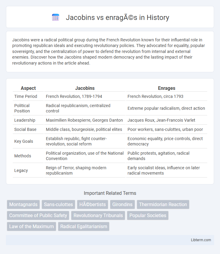enragés vs Jacobins in History - What is The Difference?