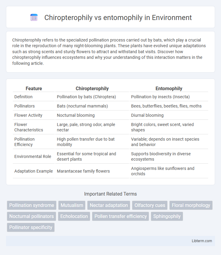 entomophily vs Chiropterophily in Environment - What is The Difference?