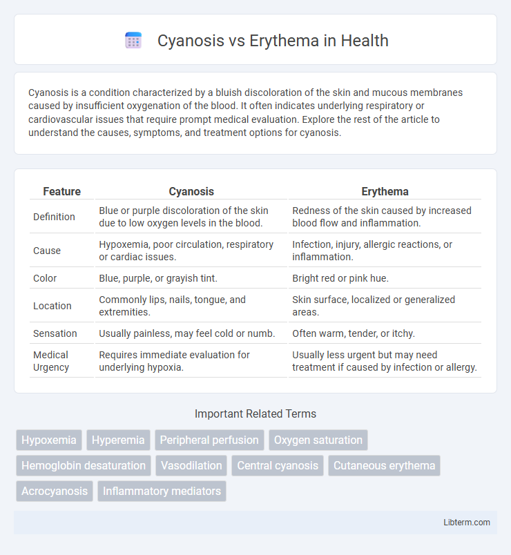 Erythema vs Cyanosis in Health - What is The Difference?