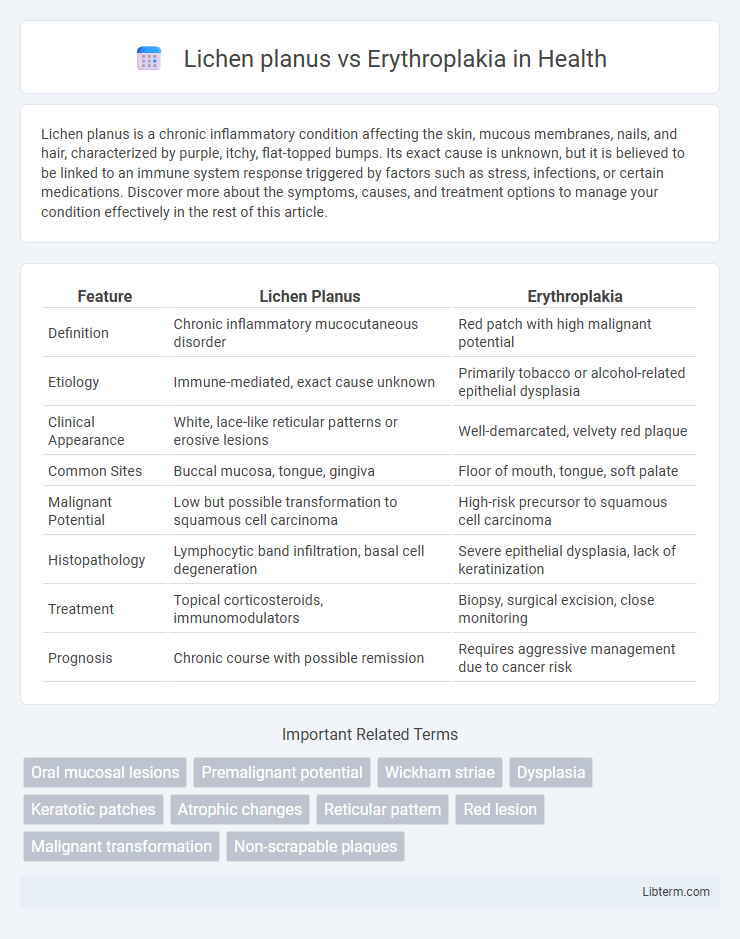 Erythroplakia vs Lichen planus in Health - What is The Difference?