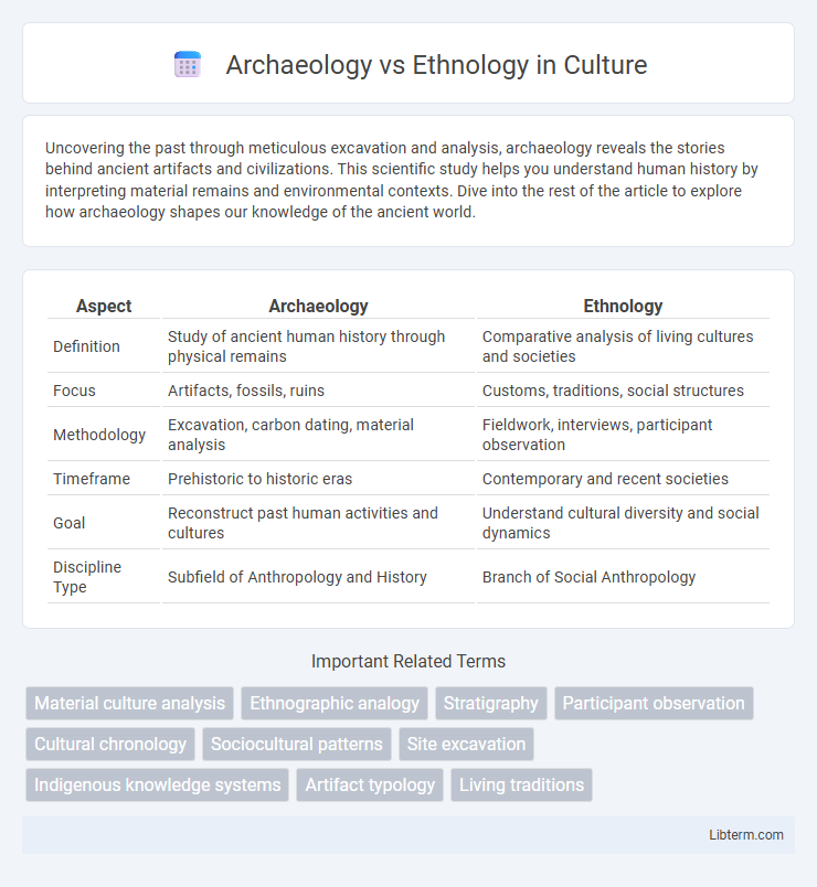 Ethnology vs Archaeology in Culture - What is The Difference?