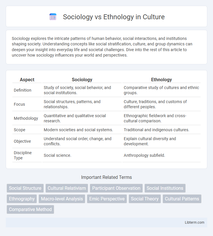 Ethnology vs Sociology in Culture - What is The Difference?