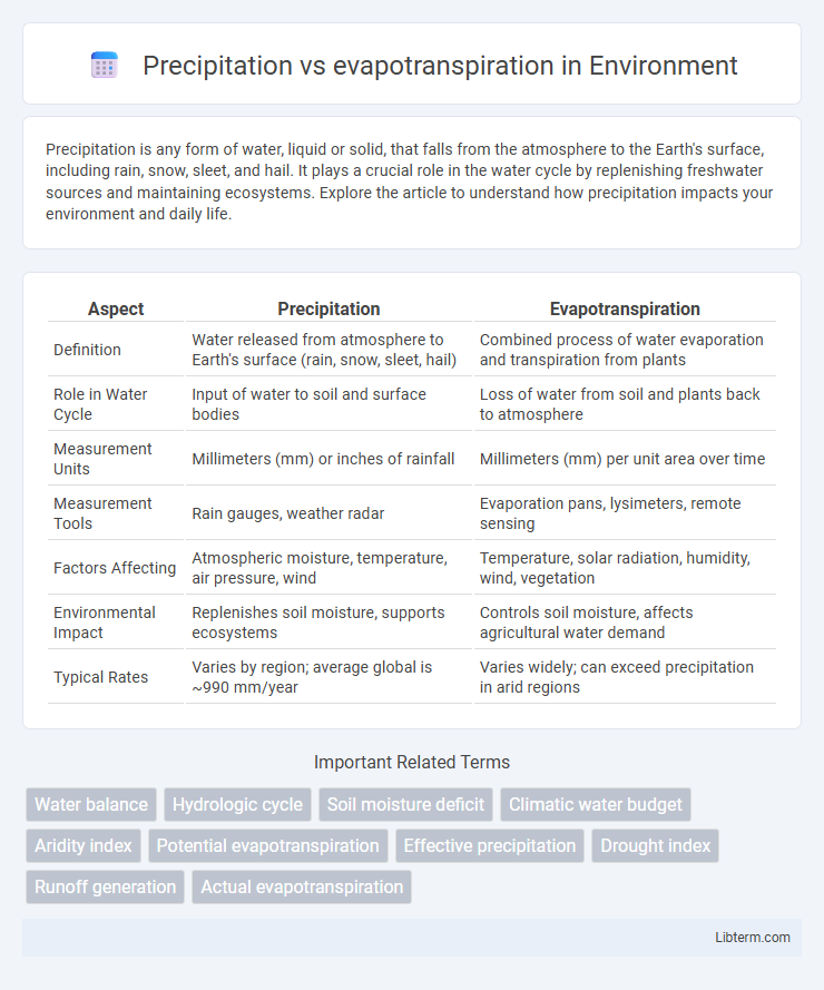 evapotranspiration vs Precipitation in Environment - What is The Difference?