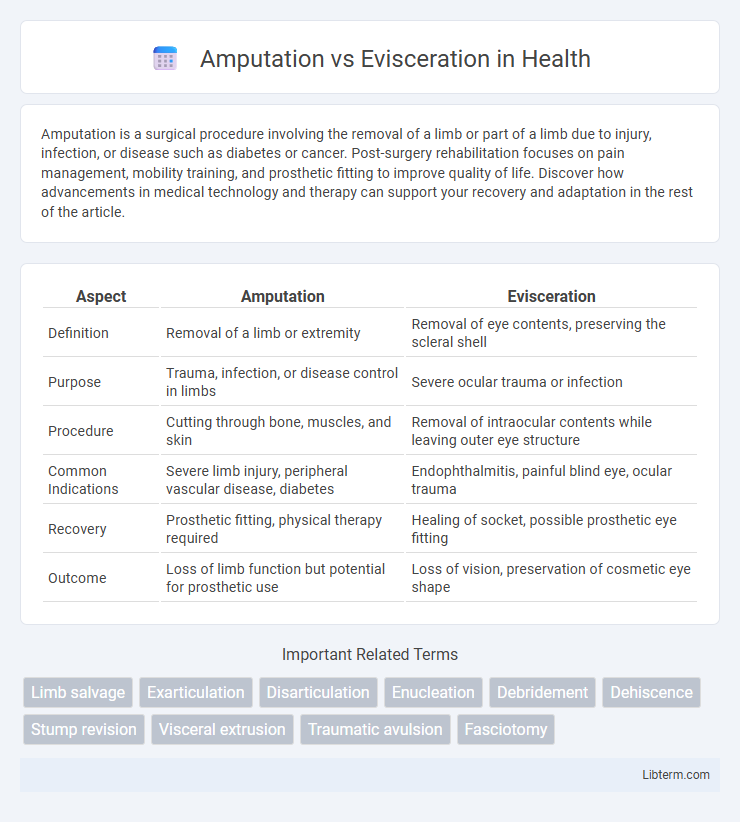 Evisceration vs Amputation in Health - What is The Difference?