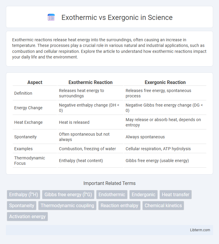 Exergonic vs Exothermic in Science - What is The Difference?