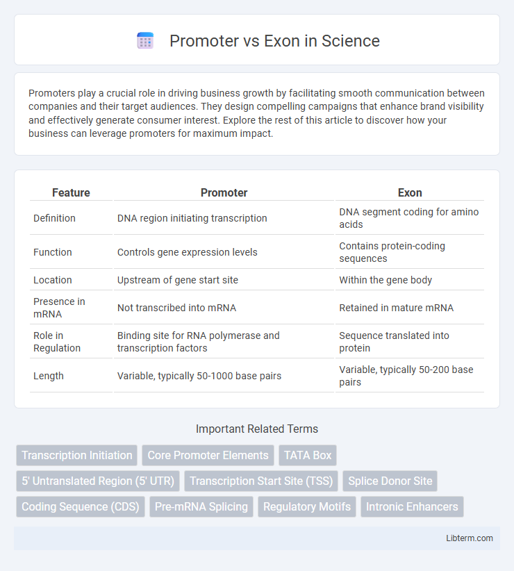 Exon vs Promoter in Science - What is The Difference?