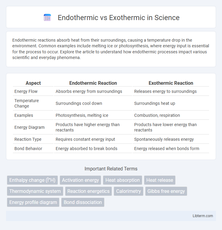 Exothermic vs Endothermic in Science - What is The Difference?