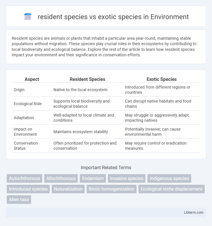 exotic species vs resident species in Environment - What is The Difference?